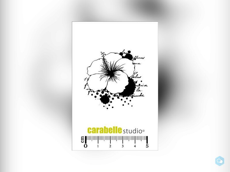 Carabelle Studio • Cling Stamp Mini 12 4