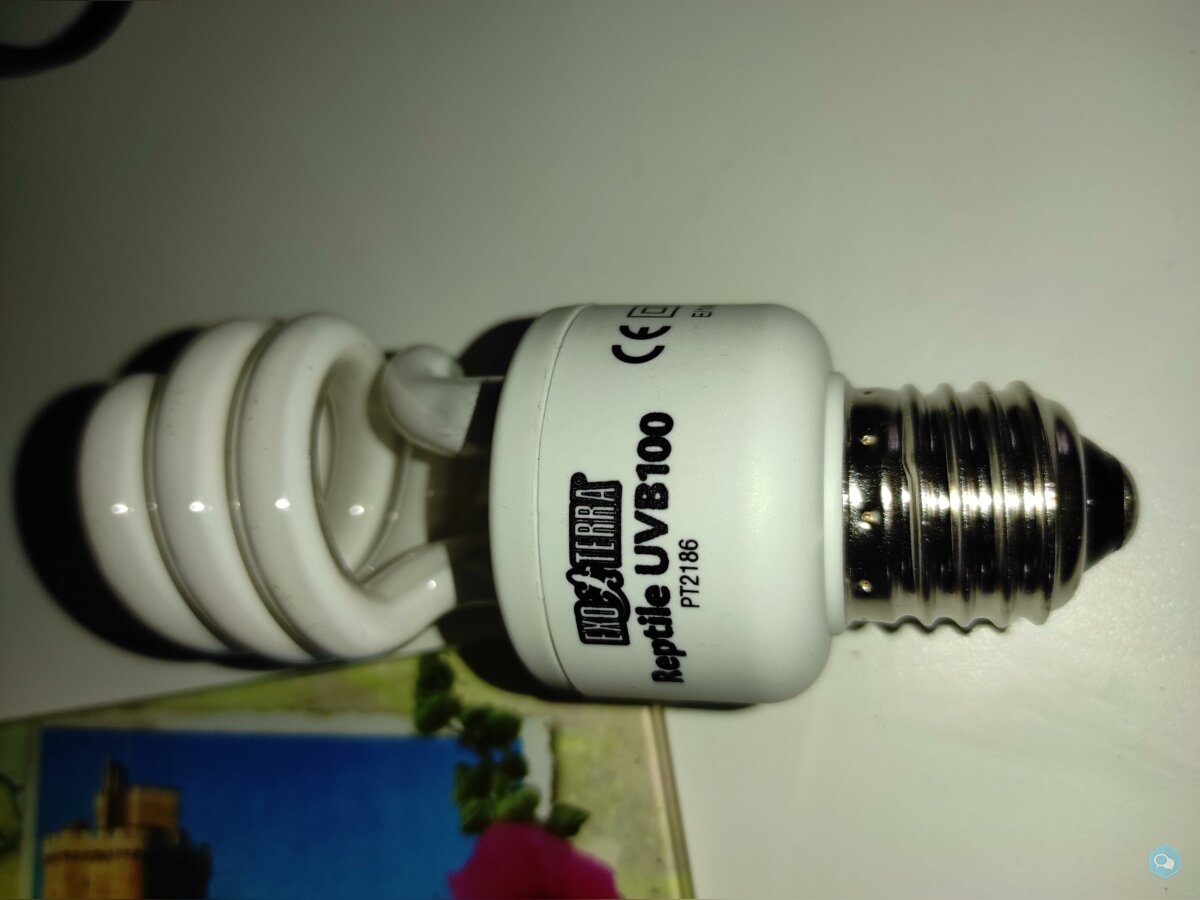 lampe + ampolue UV exo-terra 3