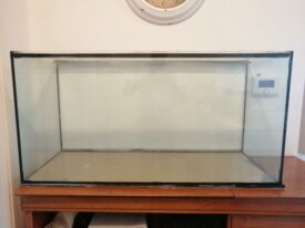 Aquarium 120L + tous les accessoires 100€ à débatt