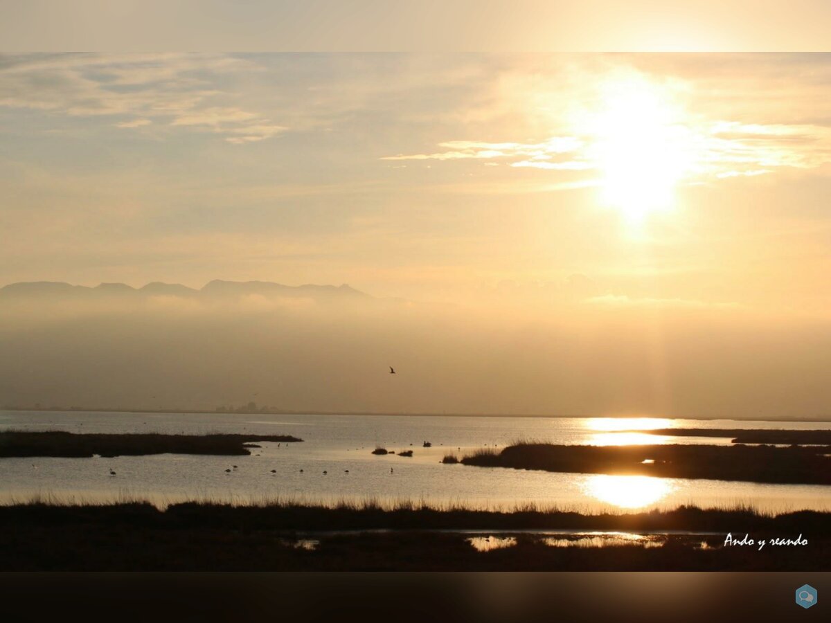 CHASSE AQUATIQUE DELTA DE L´EBRE / ESPAGNE. 3