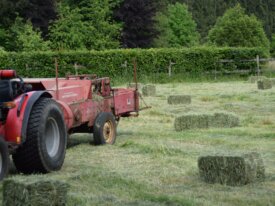 Botteleuse McCormick B27 et faneuse NewHolland 254
