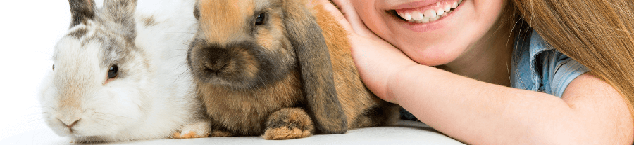 Apprendre à un lapin à être propre