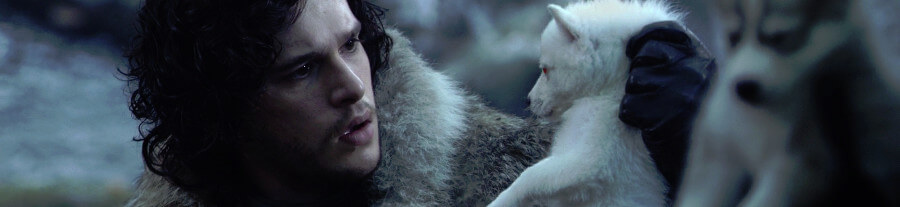 Les acteurs de Game of Thrones demandent à leurs fans d’adopter les animaux