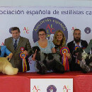 Entretien avec Isabelle Lechevalier, toiletteur canin, médaille d'or Calella de Palafrugell (Espagne)