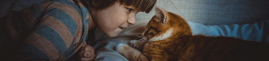 Apprendre à un enfant à s’occuper d’un animal de compagnie