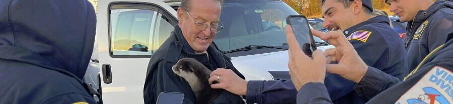 Splash, la loutre qui aide à retrouver des corps sous l’eau