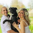 Pet-parenting : la nouvelle façon de vivre avec nos chiens et nos chats