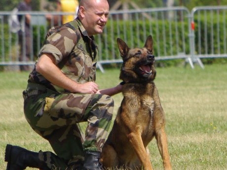 Maître-chien dans l'armée : Fiche métier pour devenir Maître-chien dans  l'armée