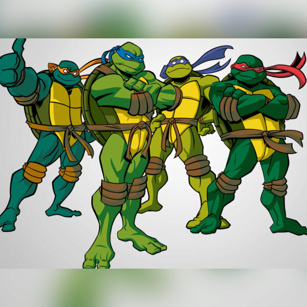 Teenage Mutant Ninja Turtles S05E10