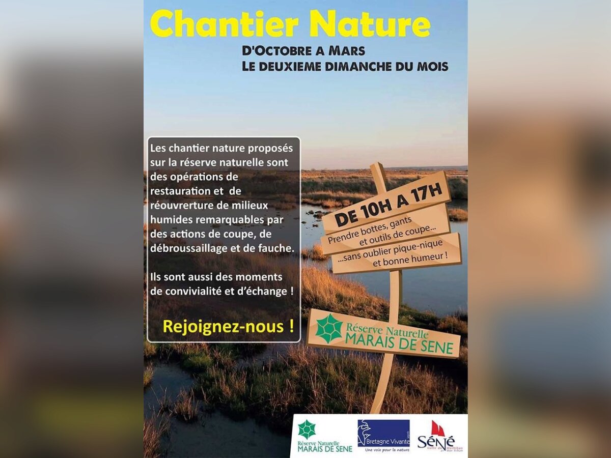 Chantiers nature - Réserve Nat des Marais de Séné 1.jpg