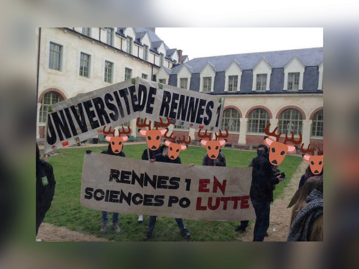 Manif Cortège Rennes 1 et Sciences Po  1.jpg