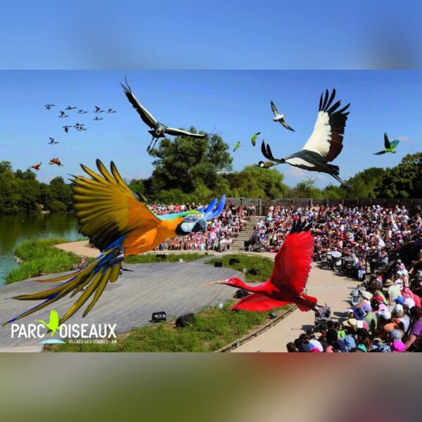 Sortie photo parc des oiseaux - début avril 2018