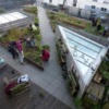 Atelier jardinage sur le toit de la MCE  1.png