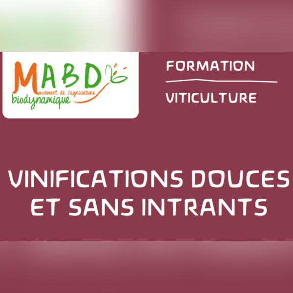 Formation Vinification Douce et sans Intrant - 1 1.png