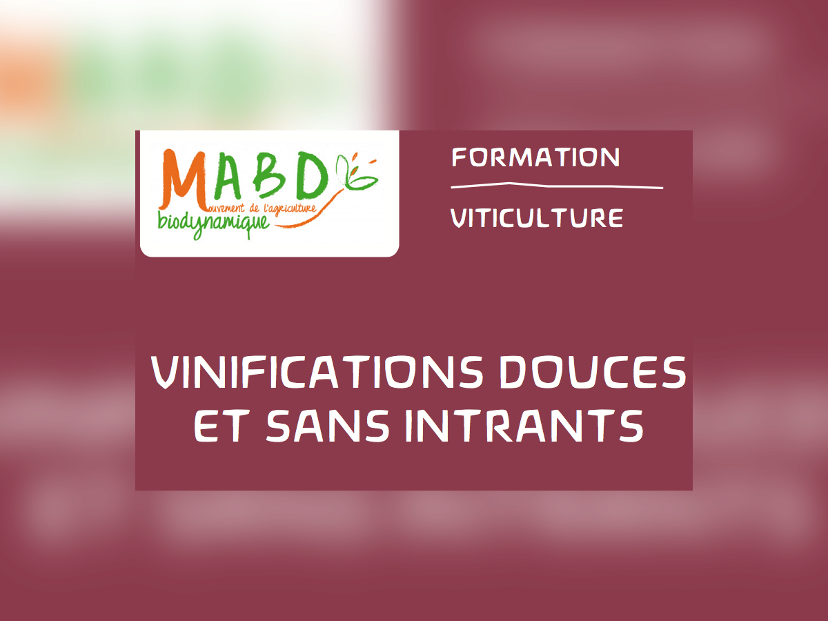 Formation Vinification Douce et sans Intrant - 2 1.png