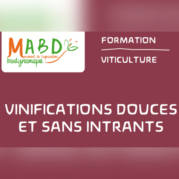 Formation Vinification Douce et sans Intrant - 2 1.png