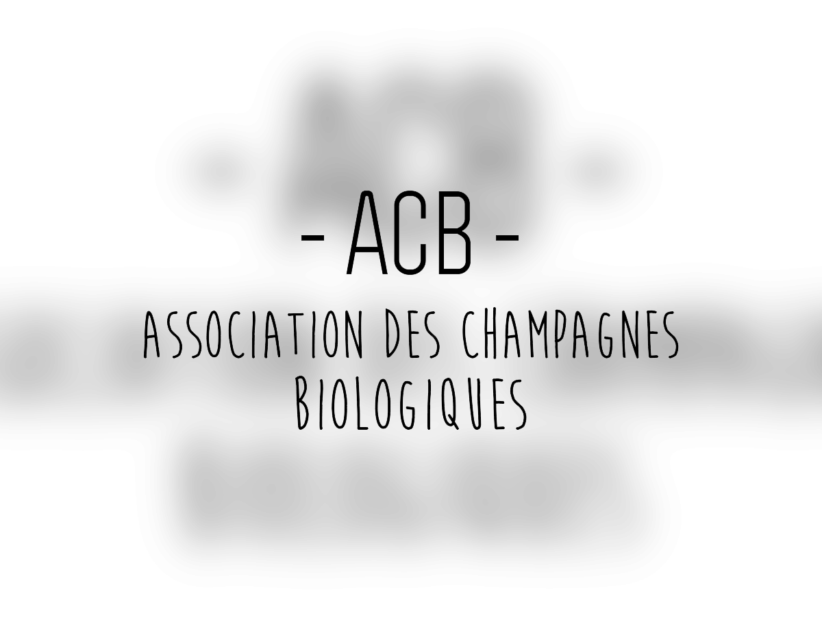 Réunion de CA de l'ACB 1.png