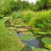 Festival du lotus aux jardins des Martels 3.jpg