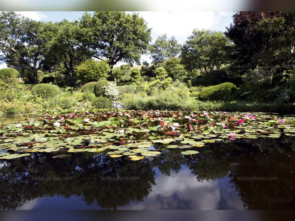 Visite du Jardin Zen de Erik Borja 5.jpg