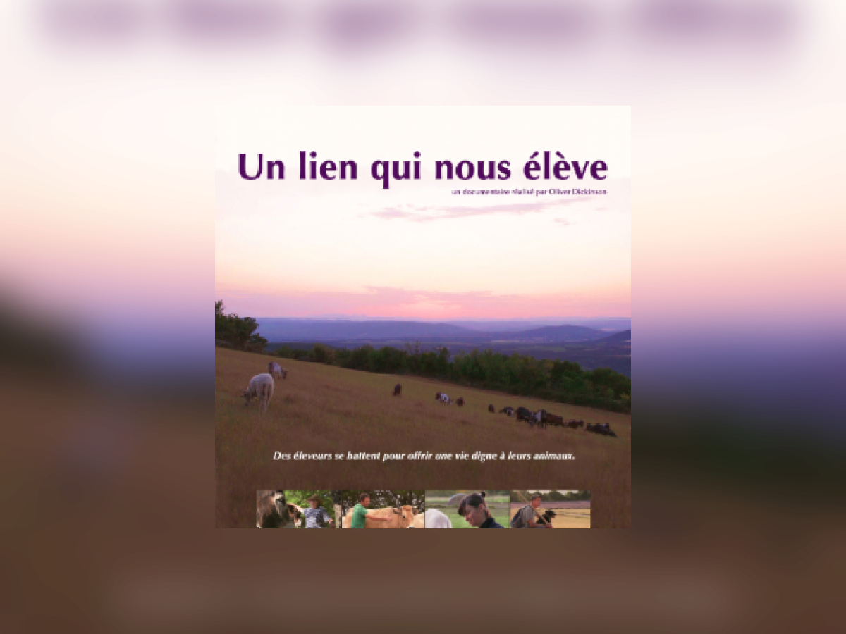 « Un lien qui nous élève » St Nazaire 1.png