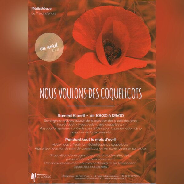 Fleurir de coquelicots la médiathèque