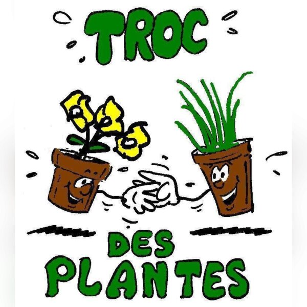Coquelicots "Troc plantes & graines" - St Molf