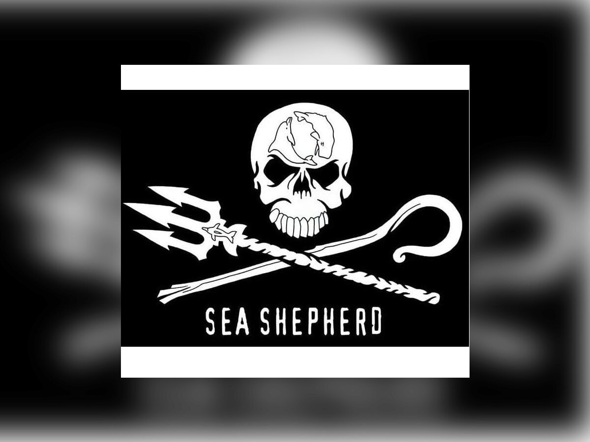 Sea Shepherd à la Baleine - Défendons les Océans ! 1.jpg