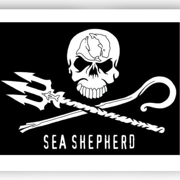 Sea Shepherd à la Baleine - Défendons les Océans !