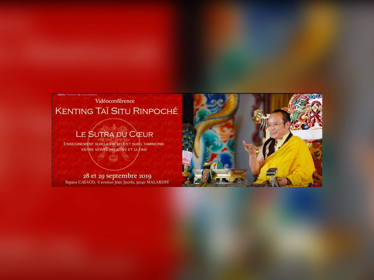 VIDEOCONFERENCE TAI SITU RINPOCHE 1.png