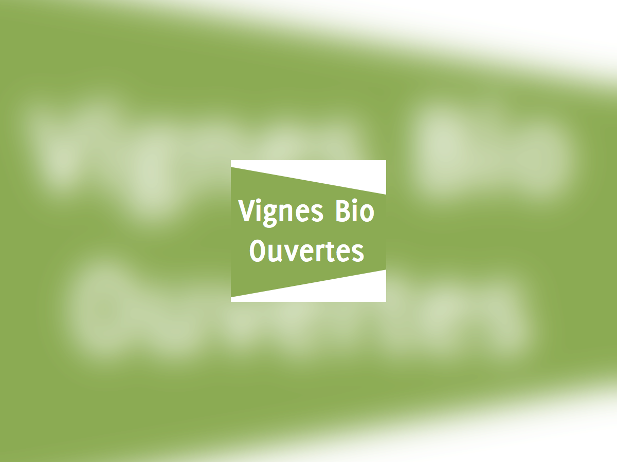 Vigne Bio Ouverte chez Vincent Laval 1.png