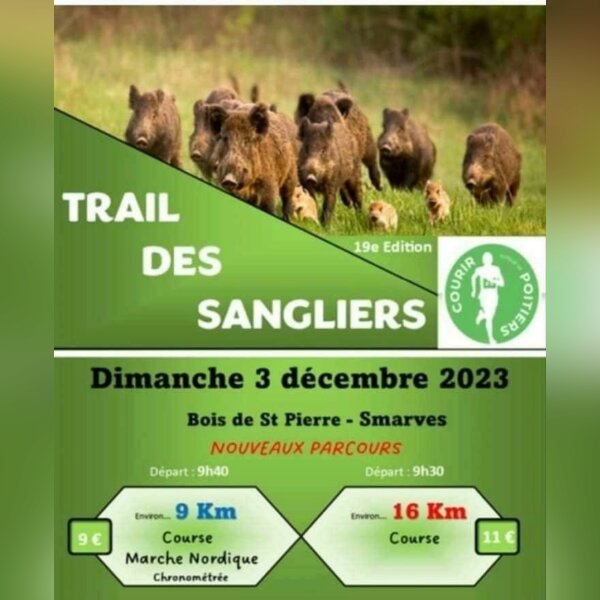 Trail des Sangliers (86)