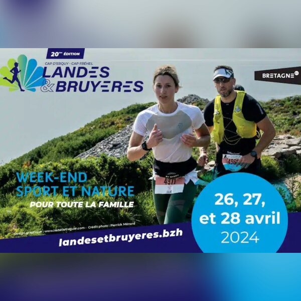 Landes et Bruyères (22) 1.jpg