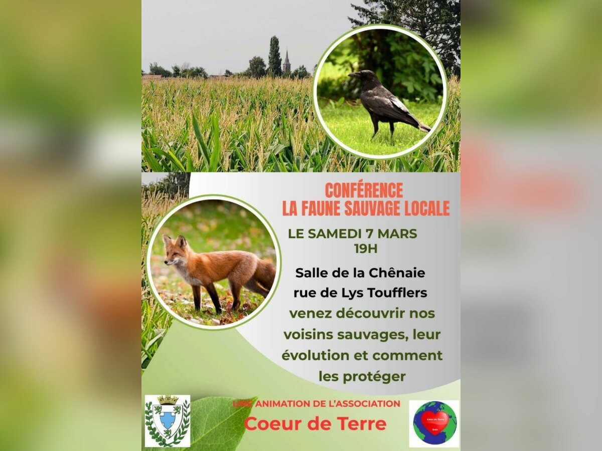 La faune sauvage locale 1.jpg