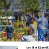 Folies végétales  2.jpg