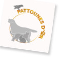 Pattounes d'or