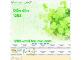 Diễn Đàn của 12B3 VMĐ_BD