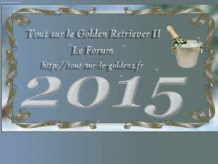 créer un forum : Tout sur le Golden Retriever