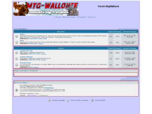 Magic l'assemblee : Wallonie