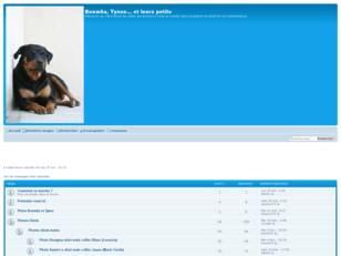 creer un forum : Boumka, Tyson... et leurs petits