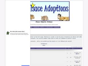 Alsace Adoption Animaux