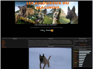 malinois, forum malinois, berger belge malinois