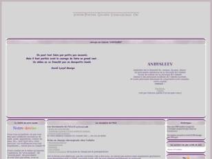 anneau, bypass, sleeve, forum chirurgie de l'obesite ANBYSLEEV
