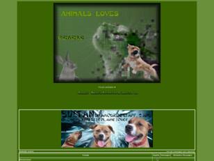 Animals-Loves