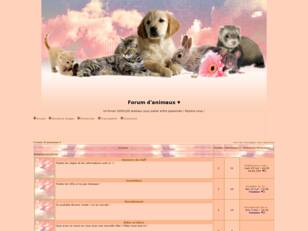 Forum d'animaux !! ♥