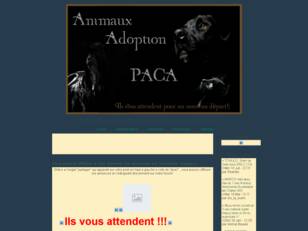 Animaux Adoption PACA