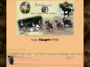 forum: balades canines en France et ailleurs