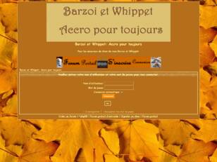 Barzoi et Whippet: Accro pour toujours