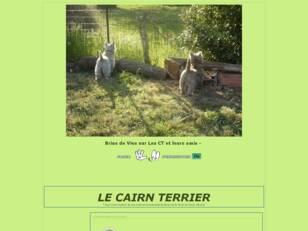 Les Terriers et leurs amis