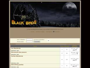 Team Blackbirds airsoft Figeac
