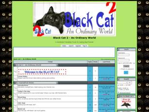Black Cat 2 Ordinary World